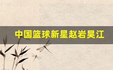 篮球运动员赵岩昊-中国篮球新星赵岩昊江苏