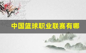 中国篮球职业联赛有哪些赛事-中国篮球职业联赛有哪些