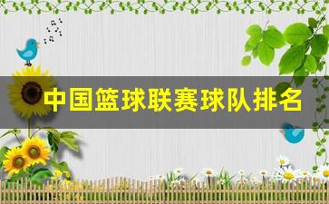 中国篮球联赛球队排名-中国篮球联赛排行榜前十名