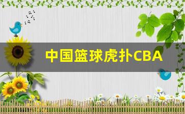 中国篮球虎扑体育-中国篮球虎扑CBA
