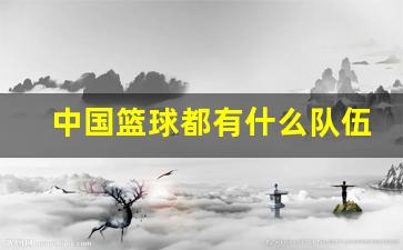 中国篮球都有什么队伍名称-中国篮球都有什么队伍
