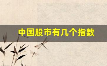 中国股市有几个指数(我国股市有哪些指数)_https://www.huakunhengjia.com_期货资讯_第1张