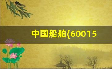 中国船舶(600150)股吧(中国船舶(600150)股吧千股千评)_https://www.hangfeite.com_深交所_第1张