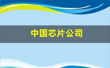 中国芯片公司(中国芯片公司股票)_https://www.haiwangdasha.com_郑商所_第1张