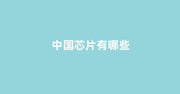中国芯片有哪些(中国芯片有哪些突破)_https://www.eamstsz.com_上交所_第1张