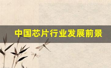 中国芯片行业发展前景分析(中国芯片产业发展前景)_https://www.kairu168.com_广期所_第1张