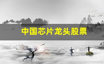 中国芯片龙头股票(中国芯片龙头股票价格)_https://www.haiwangdasha.com_上交所_第1张