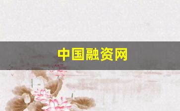中国融资网(中国融资网怎么样)_https://www.nalian8.com_科创板_第1张