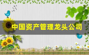 中国资产管理龙头公司(资产管理公司龙头股)_https://www.kairu168.com_广期所_第1张