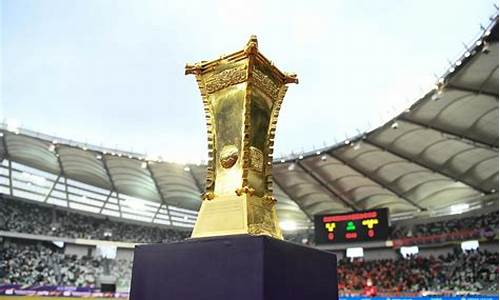 中国足协杯2024赛程表格图片_中国足协杯2024赛程表