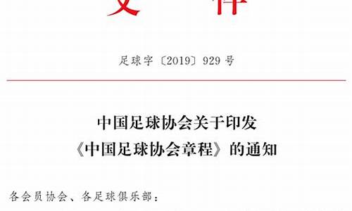 中国足球协会章程2005_中国足球协会文件