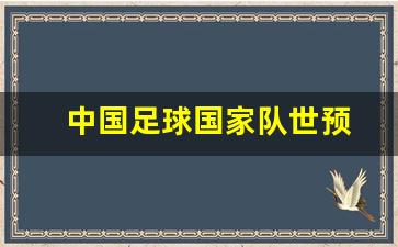 中国足球国家队世预-中国国足世预赛名单