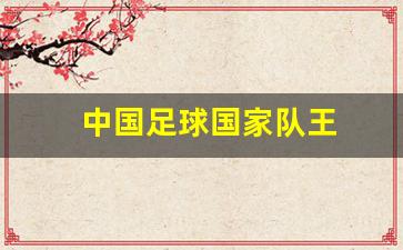 国足老婆王媞-中国足球国家队王