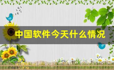 中国软件今天什么情况(手机今天用了什么软件)_https://www.jumanxin.com_上交所_第1张
