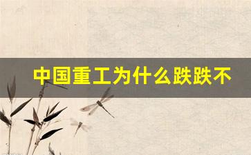 中国重工为什么跌跌不休