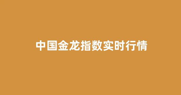 中国金龙指数实时行情(中国金龙指数实时行情哪里看)_https://www.jnskb.com_效果图_第1张