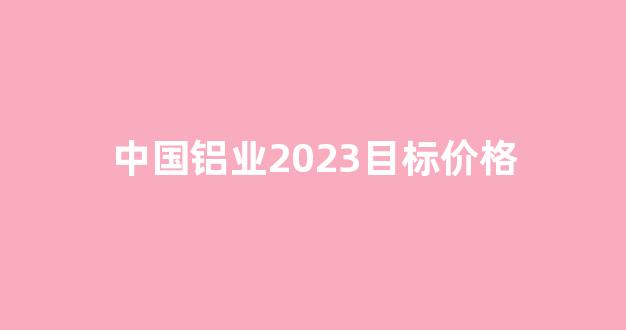 中国铝业2023目标价格(中国铝业最新)_https://www.dcjwmf.com_郑商所_第1张