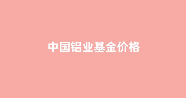中国铝业股票基金_中国铝业基金价格
