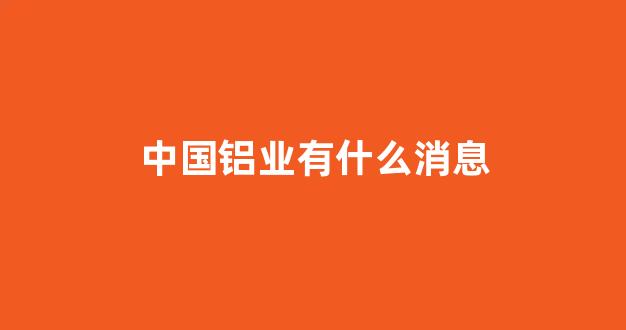 中国铝业有什么消息(中国铝业如何)_https://www.nalian8.com_科创板_第1张