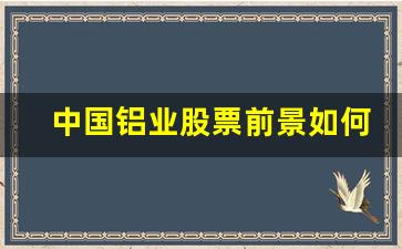 中国铝业股票前景如何2022(中国铝业股票前景如何2022年)_https://www.haiwangdasha.com_上期所_第1张
