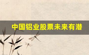 中国铝业股票未来有潜力吗(中国铝业股票会涨吗)_https://www.jumanxin.com_北交所_第1张