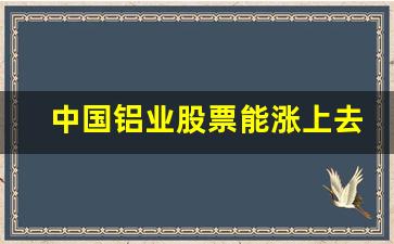 中国铝业股票能涨上去吗多少(中国铝业股票能涨上去吗多少倍)_https://www.qldgs.com_国际期货_第1张