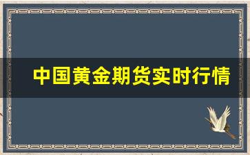 中国黄金期货实时行情(中国黄金期货实时行情数据)_https://www.fzdzcxj.com_北交所_第1张