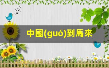 詳解中國(guó)公民赴馬來(lái)西亞務(wù)工所需簽證類(lèi)型及申請(qǐng)流程