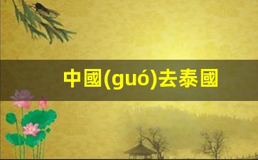 中國(guó)游客赴泰國(guó)旅游必備手續(xù)全解析，護(hù)照是關(guān)鍵！