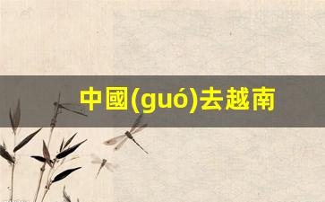 中國(guó)去越南怎么簽證(中國(guó)去越南怎么簽證的)