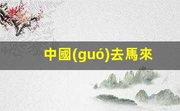 中國(guó)公民申請(qǐng)馬來(lái)西亞簽證攻略，逗留時(shí)長(zhǎng)及簽證類型詳解