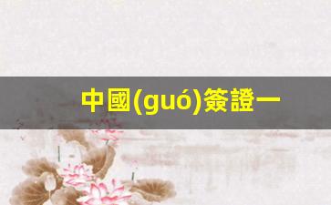 中國(guó)簽證一年多少錢(中國(guó)簽證一般多久能辦下來)