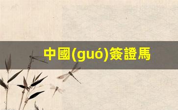 中國(guó)兒童赴馬來(lái)西亞旅行需辦簽證，馬來(lái)西亞入境政策解析