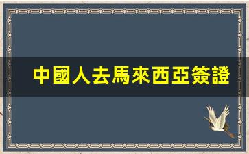 中國人去馬來西亞簽證(中國人去馬來西亞簽證好辦嗎)