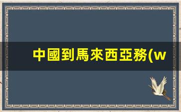 詳解中國公民赴馬來西亞務(wù)工所需簽證類型及申請流程
