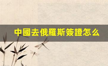 中國去俄羅斯簽證怎么辦理(中國去俄羅斯簽證怎么辦理流程)