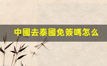 中國去泰國免簽嗎怎么辦理(中國去泰國免簽嗎)