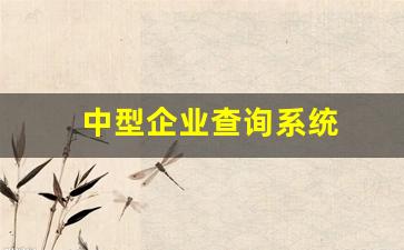 中型企业查询系统(大中型企业查询)_https://www.nalian8.com_创业板_第1张
