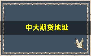 中大期货地址(中大期货联系电话)_https://www.xzdzcjn.com_上交所_第1张