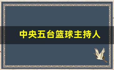 中央五台篮球主持人-中央五台篮球主持人名字