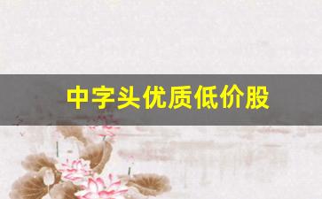中字头优质低价股(中字头优质龙头股)_https://www.gzyhshgzzx.com_上期所_第1张