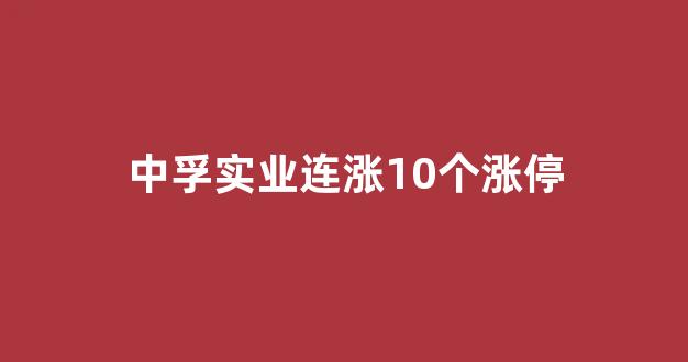 中孚实业连涨10个涨停(中孚实业暂停上市)_https://www.dongshengweixin.com_深交所_第1张