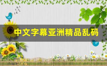 中文字幕亚洲精品乱码 (7)