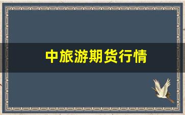 中旅游期货行情(中国中旅股票行情)_https://www.haiwangdasha.com_科创板_第1张