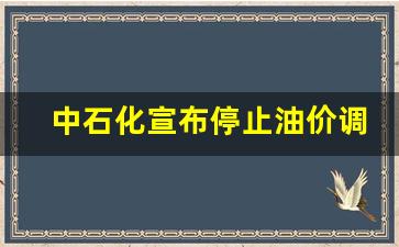 中石化降价了吗-中石化宣布停止油价调整