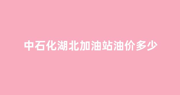 中石化湖北加油站油价多少_中化石油湖北加油站分布