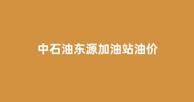 中石油东源加油站油价_东源县加油站