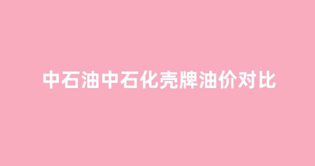 中石油中石化壳牌油价对比_中石化中石油壳牌汽油油品哪个好