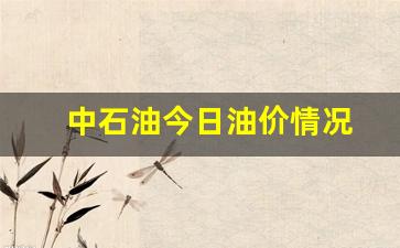 中石油今日油价最新-中石油今日油价情况