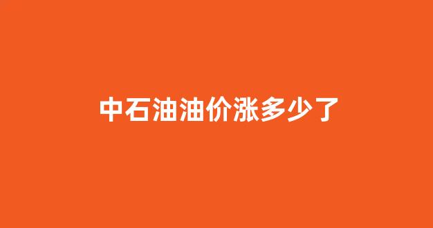 中石油油价上涨_中石油油价涨多少了